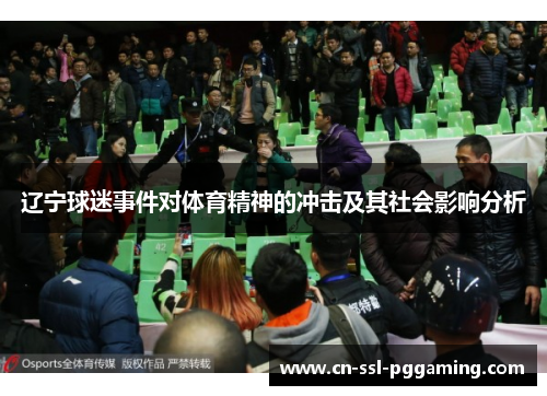 辽宁球迷事件对体育精神的冲击及其社会影响分析