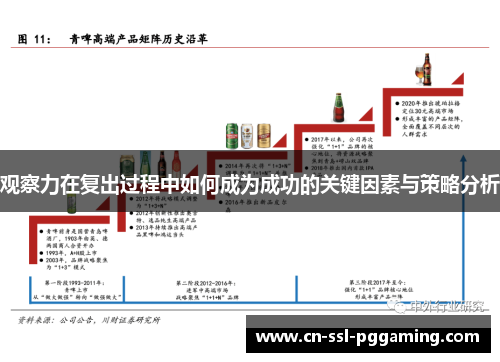 观察力在复出过程中如何成为成功的关键因素与策略分析