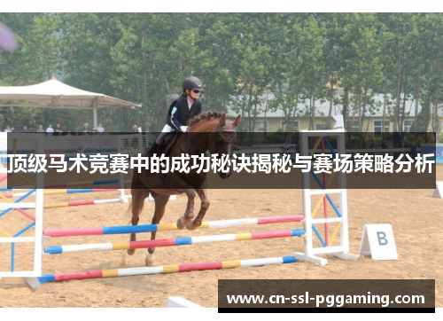 顶级马术竞赛中的成功秘诀揭秘与赛场策略分析
